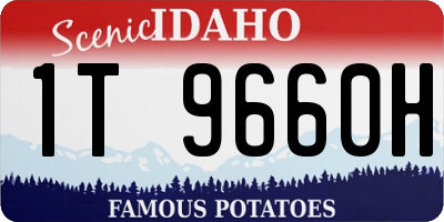 ID license plate 1T9660H