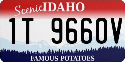 ID license plate 1T9660V