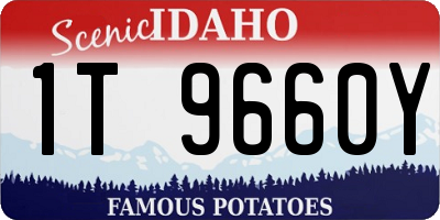 ID license plate 1T9660Y