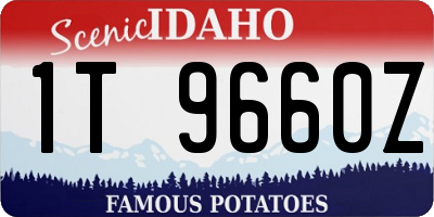 ID license plate 1T9660Z