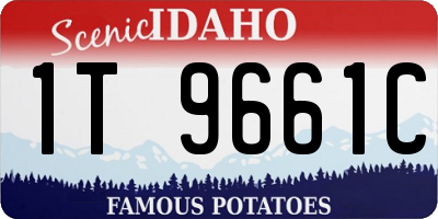 ID license plate 1T9661C