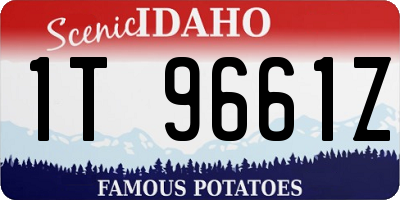 ID license plate 1T9661Z