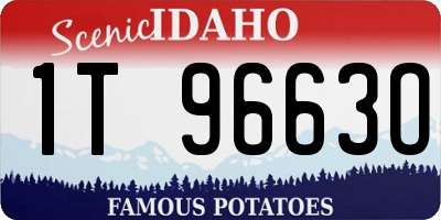 ID license plate 1T9663O