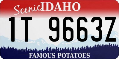 ID license plate 1T9663Z