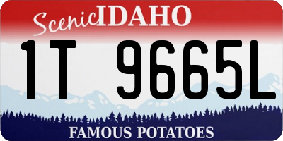 ID license plate 1T9665L