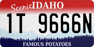 ID license plate 1T9666N