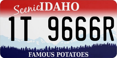 ID license plate 1T9666R