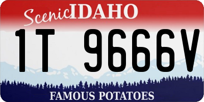 ID license plate 1T9666V