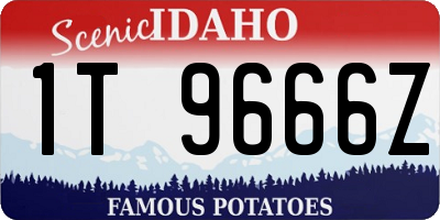 ID license plate 1T9666Z