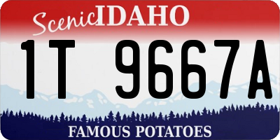 ID license plate 1T9667A