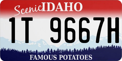 ID license plate 1T9667H