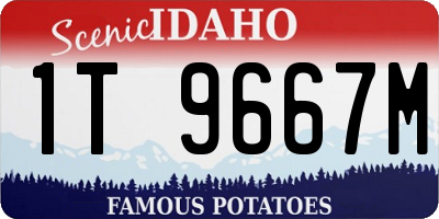 ID license plate 1T9667M