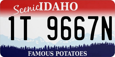 ID license plate 1T9667N
