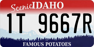 ID license plate 1T9667R
