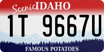 ID license plate 1T9667U