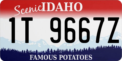 ID license plate 1T9667Z