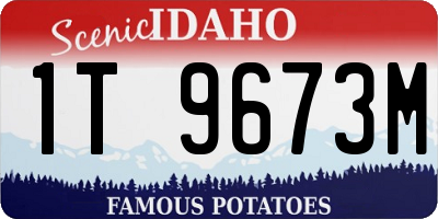 ID license plate 1T9673M