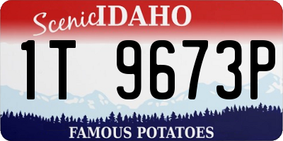 ID license plate 1T9673P