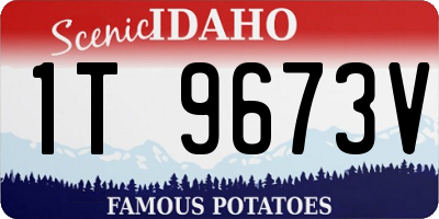 ID license plate 1T9673V
