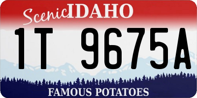 ID license plate 1T9675A