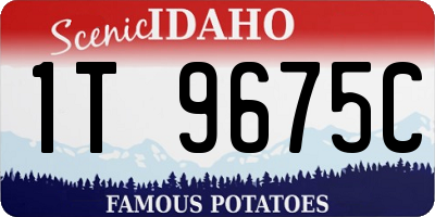 ID license plate 1T9675C