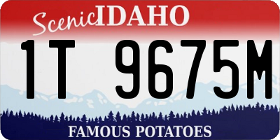 ID license plate 1T9675M