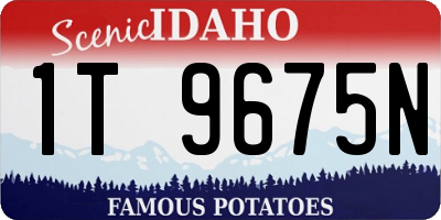 ID license plate 1T9675N