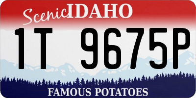 ID license plate 1T9675P