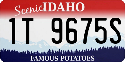 ID license plate 1T9675S