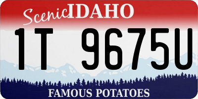 ID license plate 1T9675U