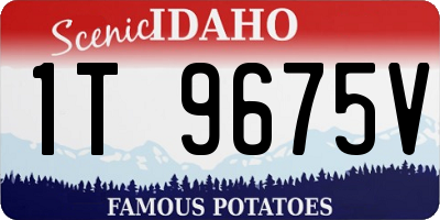 ID license plate 1T9675V
