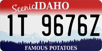 ID license plate 1T9676Z