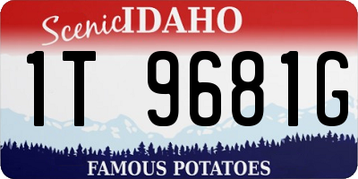 ID license plate 1T9681G