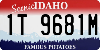 ID license plate 1T9681M