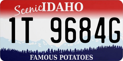 ID license plate 1T9684G