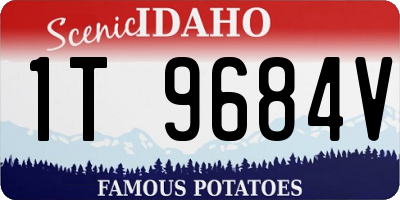 ID license plate 1T9684V