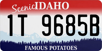 ID license plate 1T9685B