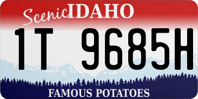 ID license plate 1T9685H