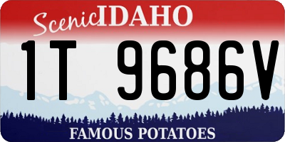 ID license plate 1T9686V