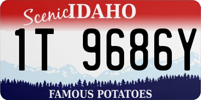 ID license plate 1T9686Y