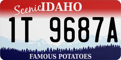 ID license plate 1T9687A