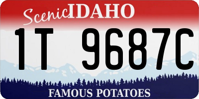 ID license plate 1T9687C