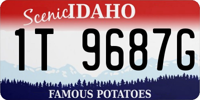ID license plate 1T9687G