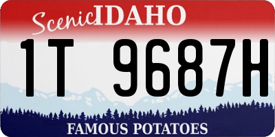 ID license plate 1T9687H
