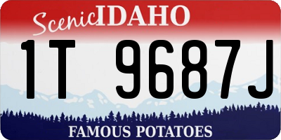 ID license plate 1T9687J