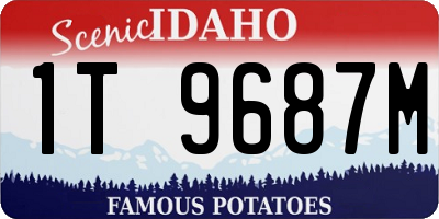ID license plate 1T9687M