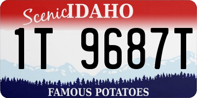 ID license plate 1T9687T