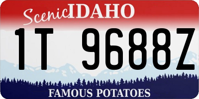 ID license plate 1T9688Z