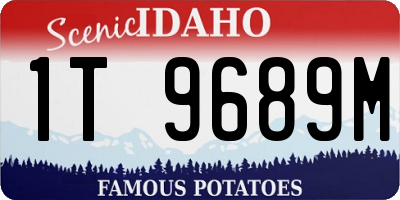 ID license plate 1T9689M