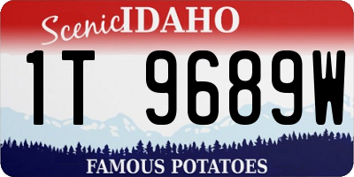 ID license plate 1T9689W